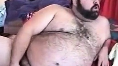 Hairy Chubby Bear Jo1