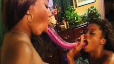 Voluptuous black lesbians lick each other's pussies and have fun with a huge dildo